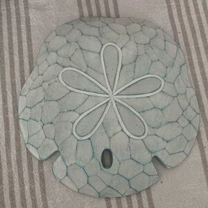 Large sand dollar wall hanging